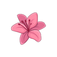 Azalea | Types of Flowers with Names