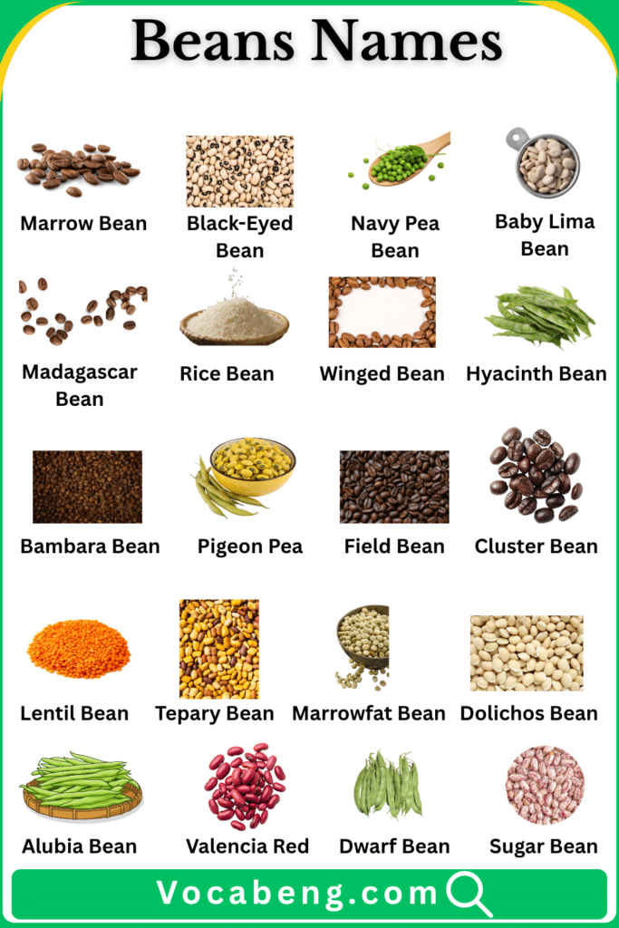 Red Beans Cooked List of Beans Names in English with Their Images - vocabeng.com