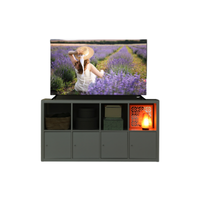 Cabinet lamp