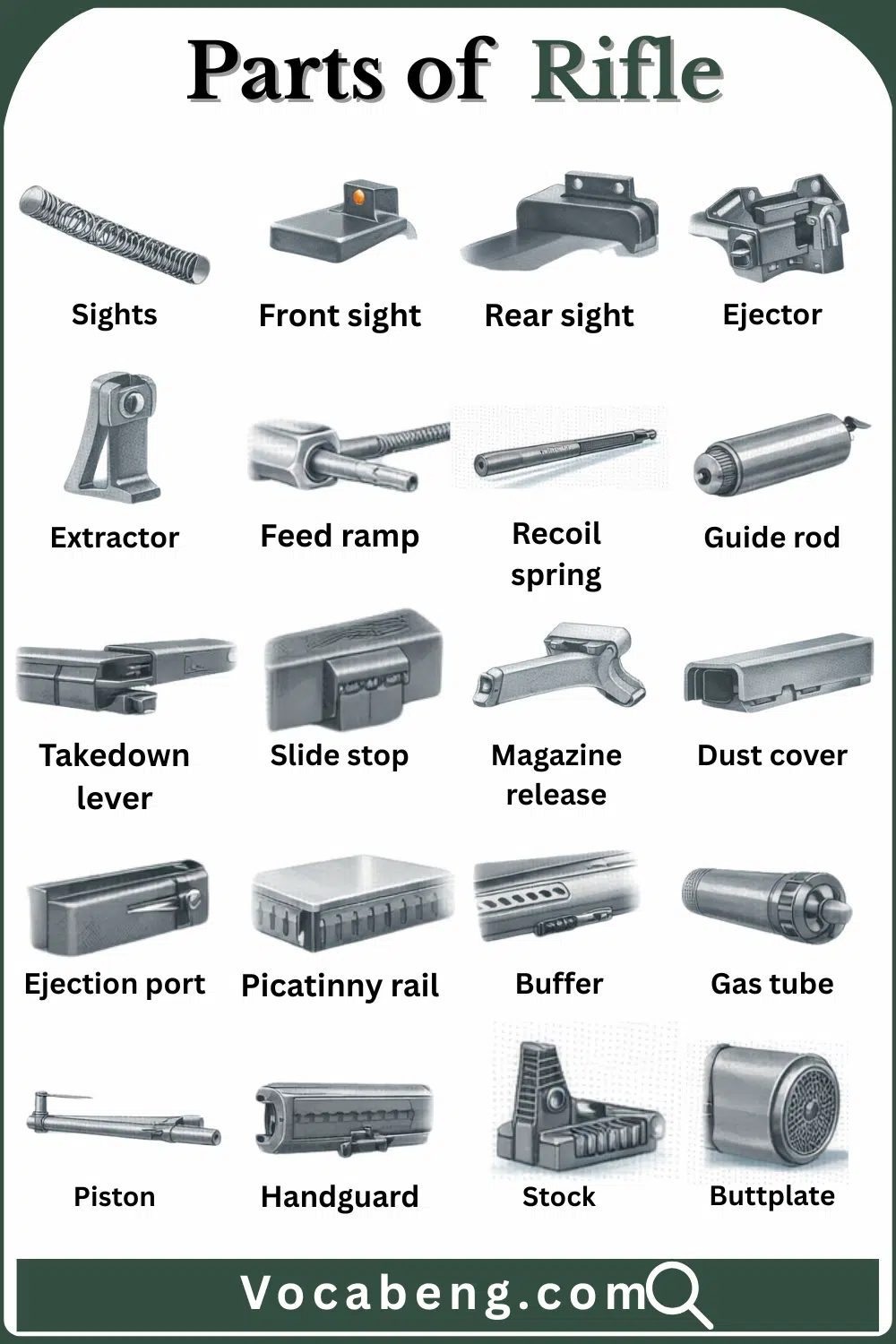 Common Parts of Rifle with their Names and Pictures