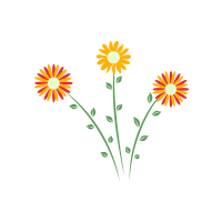 Everlasting Flower