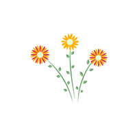 Coreopsis | Types of Flowers with Names