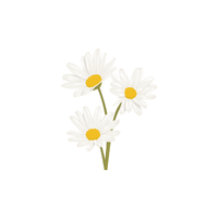 Daisy
