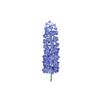 Delphinium | Types of Flowers with Names