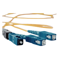 Fiberoptic light