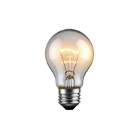 Filament bulb