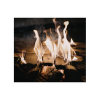Firelight | Types of Lights with Names