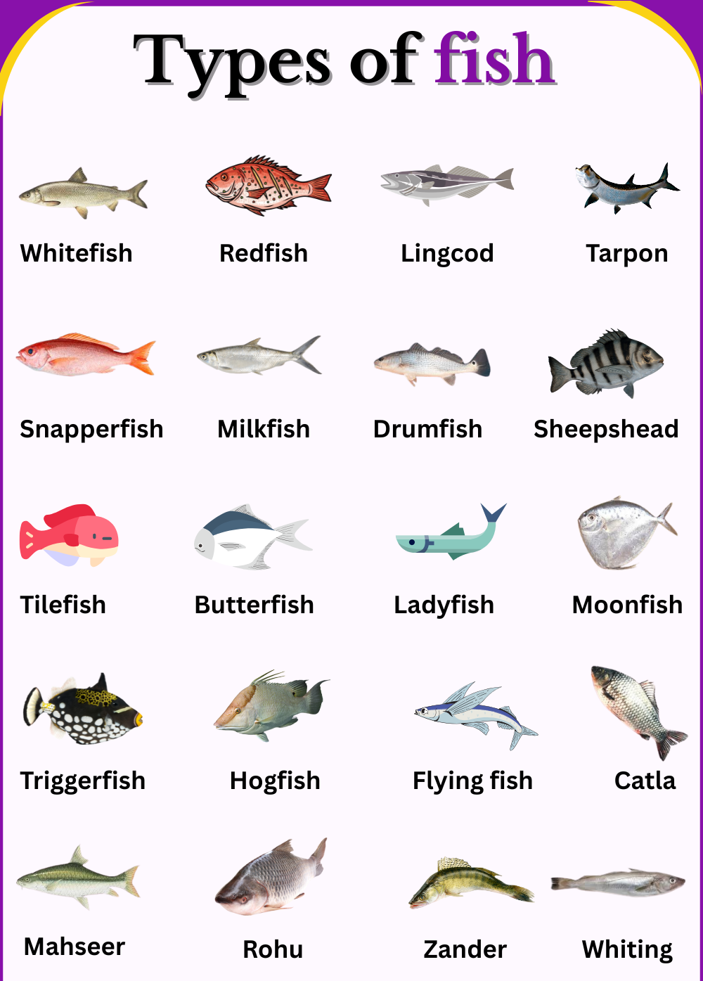 Fish Name List In English And Their Images