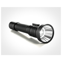 Flashlight
