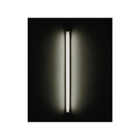 Fluorescent
