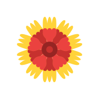 Blanket Flower