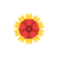 Gaillardia