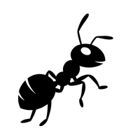 Grassland Ant