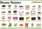 List of Beans Names in English with Their Images