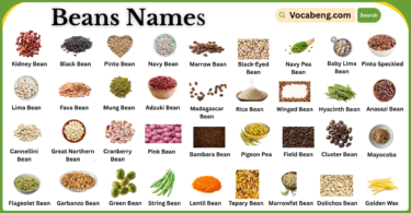 List of Beans Names in English with Their Images