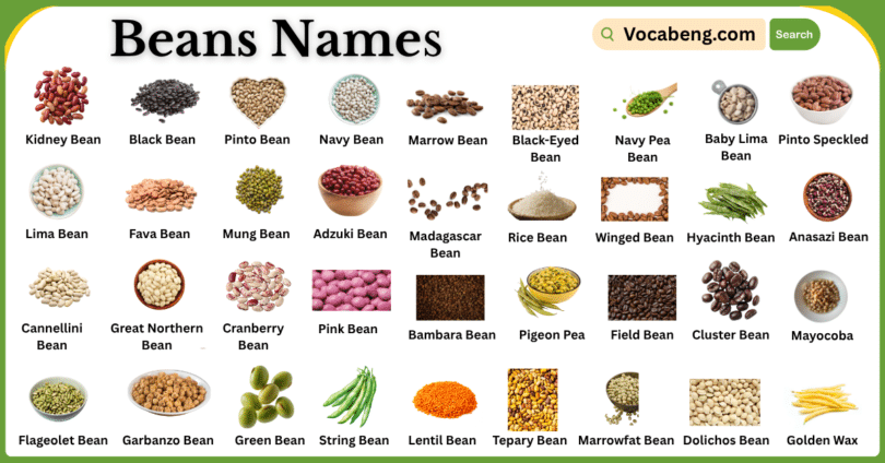 List of Beans Names in English with Their Images