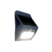 Motion light