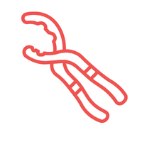 Oil-Filter Pliers | Types of Pliers with Names