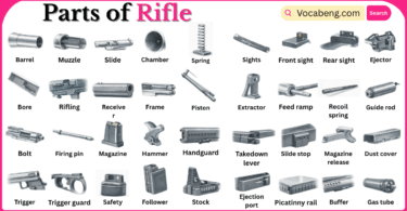 Parts of Rifle with Names in English with Pictures