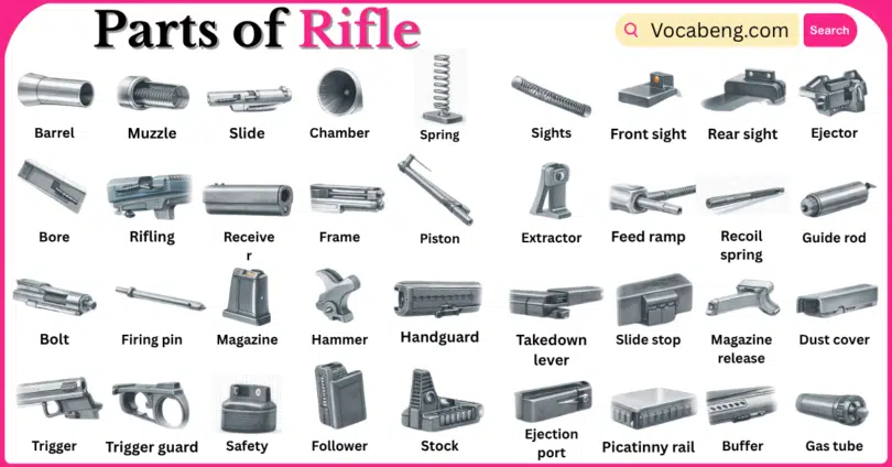Parts of Rifle with Names in English with Pictures