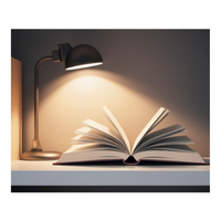 Readinglight