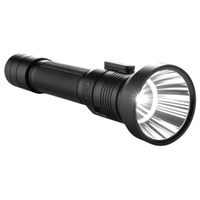 Searchlight | Types of Lights with Names