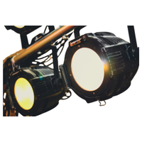 Stage light