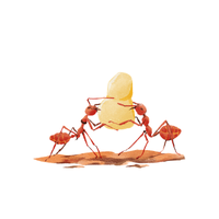 Tunnel-Building Ant