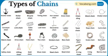 Types of Chains with Names in English with Pictures