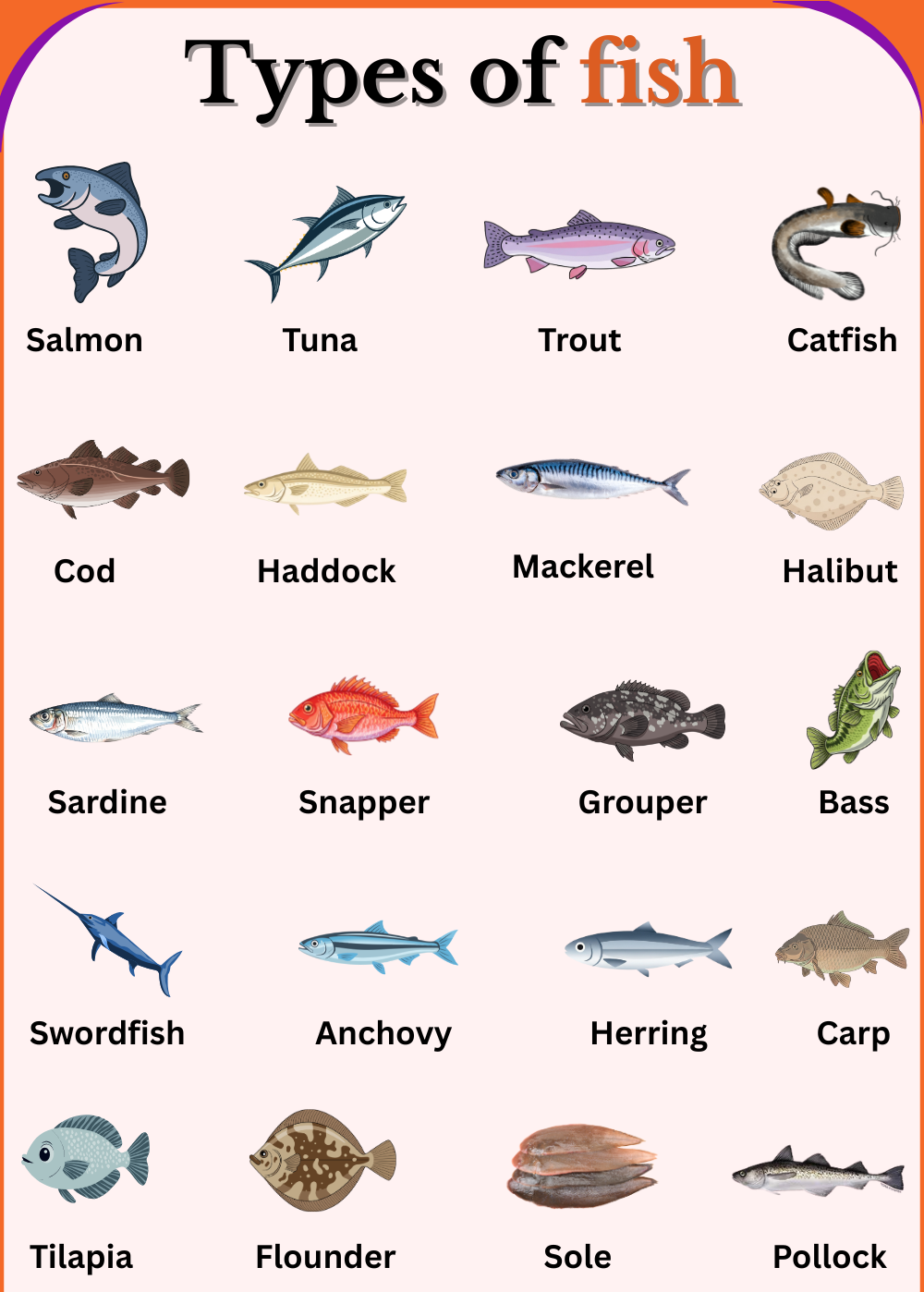 Types of Fish With Names And Their Pictures