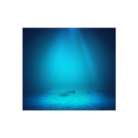 Underwater light