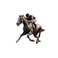 Horse Riding | Sports and Their Names