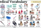 Medical Vocabulary in English with Their Pictures