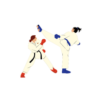 Mixed Martial Arts