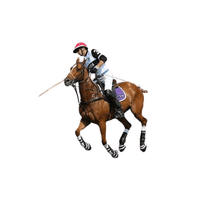 Polo | Sports and Their Names